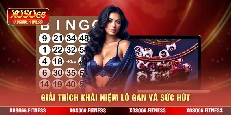 Giải thích khái niệm lô gan và sức hút