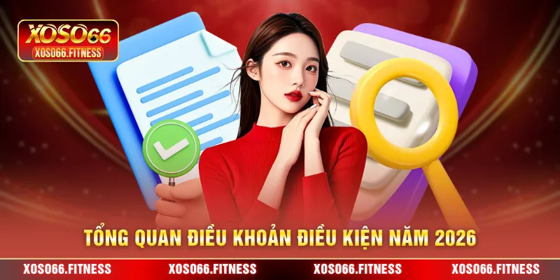 Tổng quan điều khoản điều kiện năm 2026